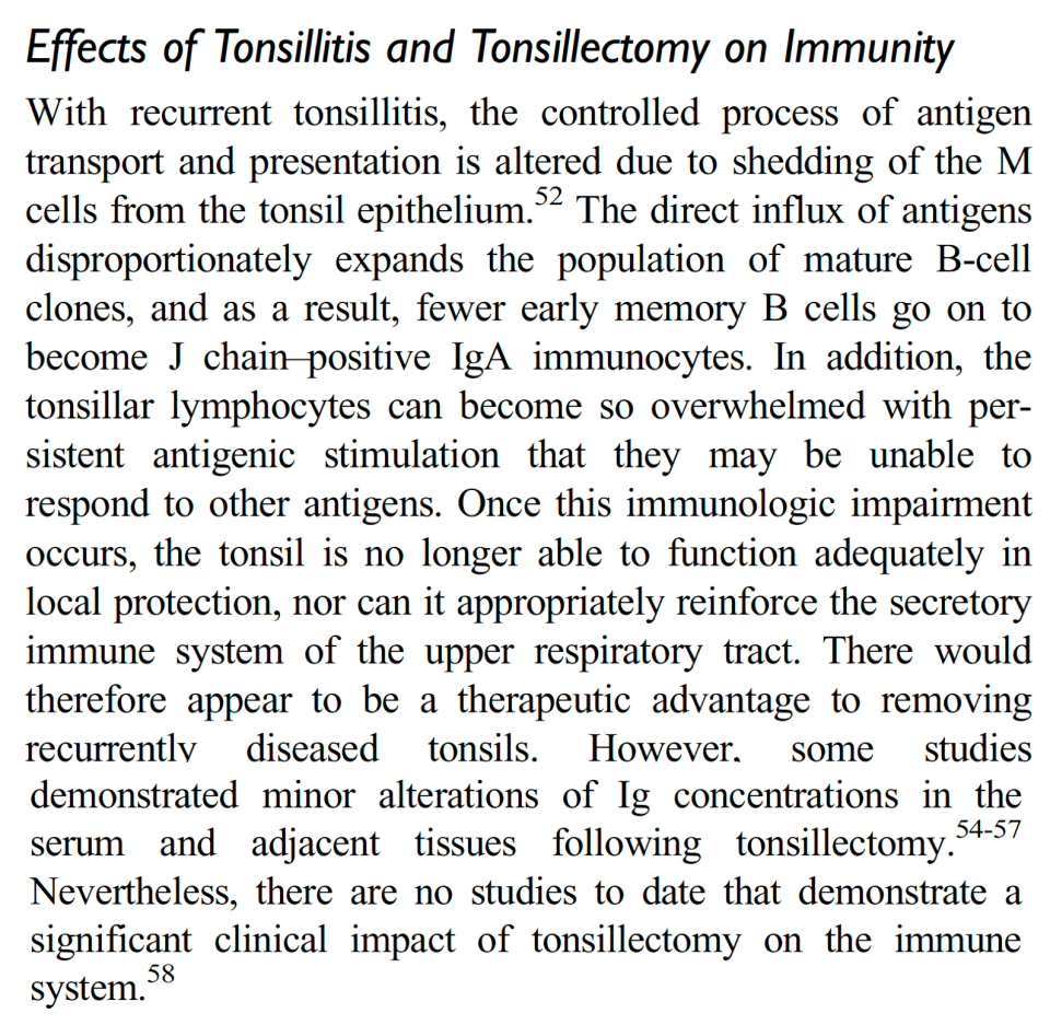 Ekran Resmi 2019-03-23 04.09.48