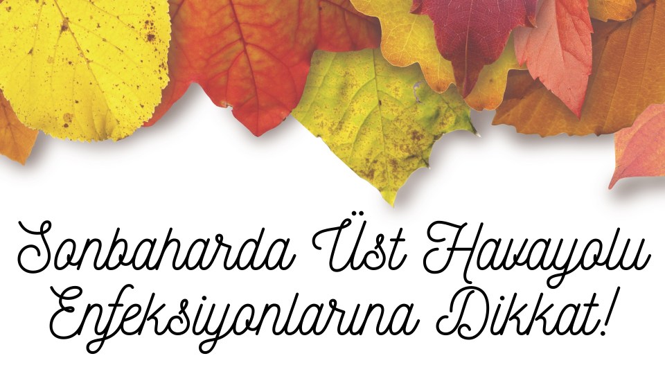 üst havayolu enfeksiyonu